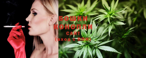 прущая мука Ельня