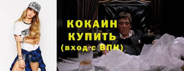 прущая мука Ельня