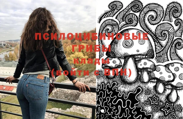 a pvp Елабуга