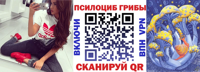 Галлюциногенные грибы Cubensis  купить закладку  Сурск 